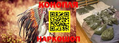 тгк Камышлов