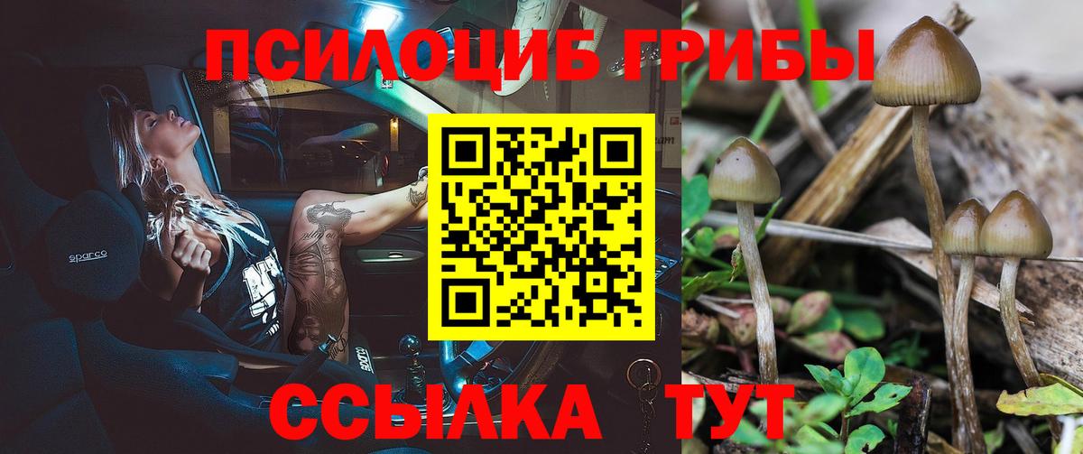 Псилоцибиновые грибы мицелий  Вход с VPN  Лесосибирск 